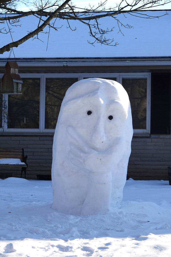 Snow Sculpture by annepann