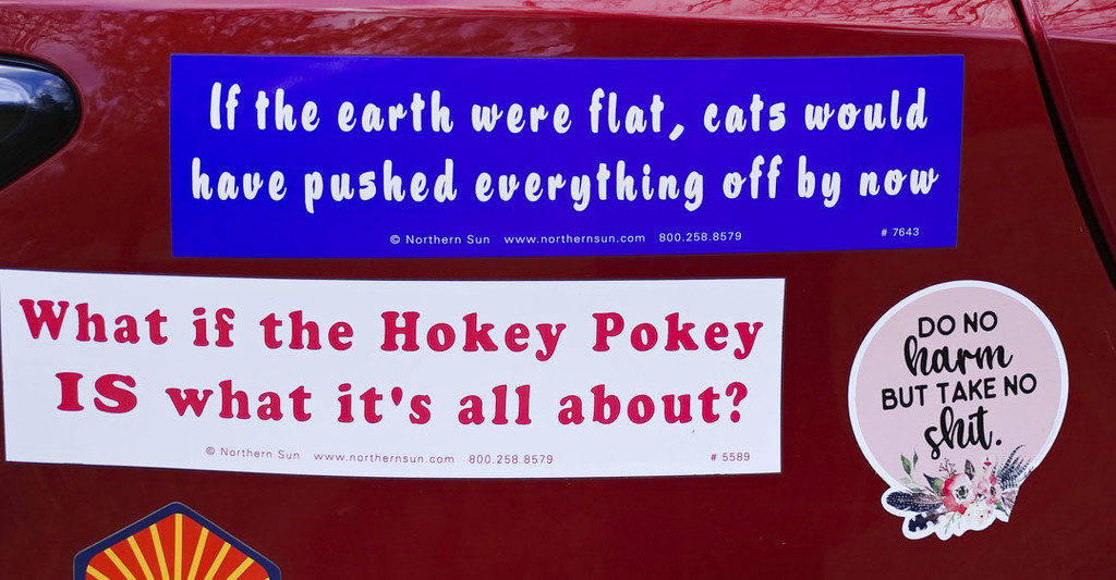 Bumper Stickers 11-16-20 by houser934