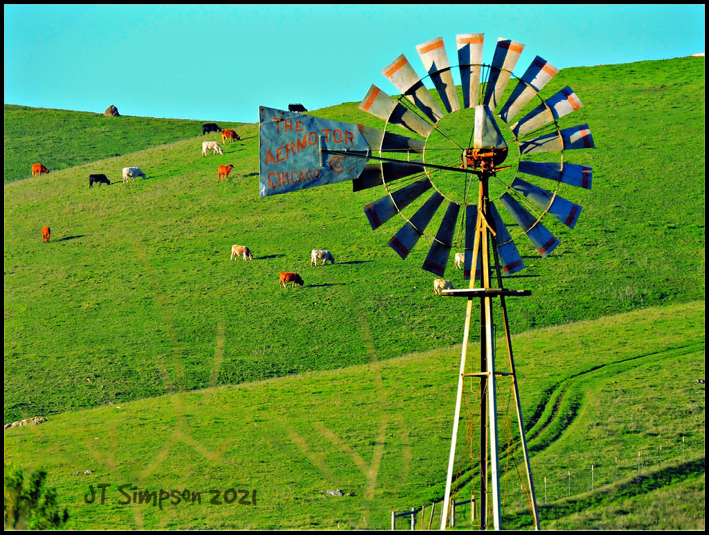 The Windmill(s) Of Your Mind... by soylentgreenpics