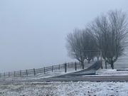 19th Jan 2021 - Fog