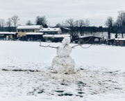 25th Jan 2021 - Mister snowman. 