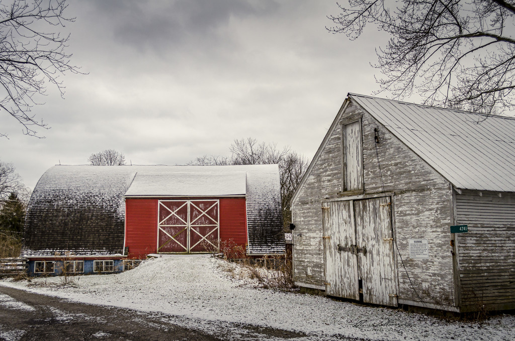 Winter Day Down on the Farm by ggshearron