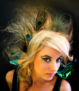 24th Jan 2011 - Lady Peacock