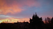 24th Jan 2021 - Hanging out of my bedroom window early this morning to catch the sunrise!