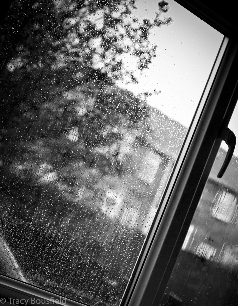 Rain by tracybeautychick