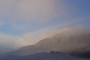 24th Jan 2021 - mist