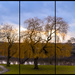 Tree Triptych by toinette