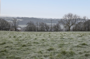 24th Jan 2021 - A frosty morning
