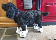 24th Jan 2021 - Pepper's snow boots. 