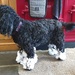 Pepper's snow boots.  by jantan