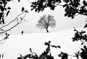 16th Jan 2021 - Odenwald in winter 