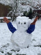 25th Jan 2021 - Rosie, the dog, built a snowman...