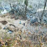 24th Jan 2021 - Bird Watchers