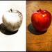 Mundane Apple 2 by olivetreeann