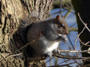 25th Jan 2021 - Snack Time!