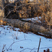 Cold January walk by larrysphotos