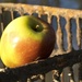 The apple and the shopping trolley by helenhall
