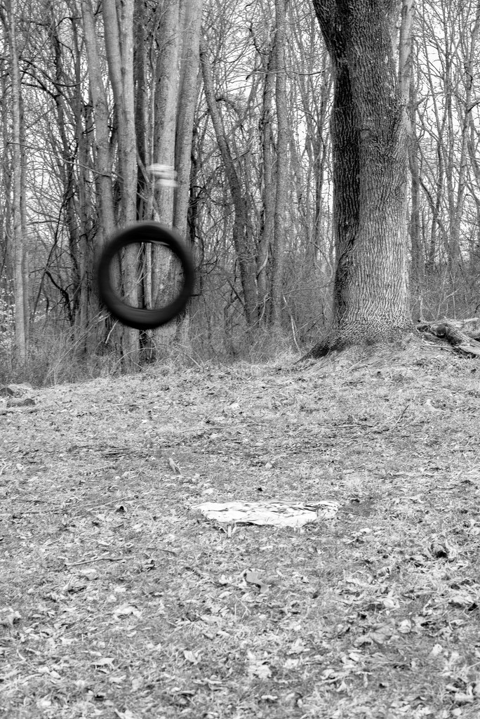 Tire Swing & Towel by andymacera