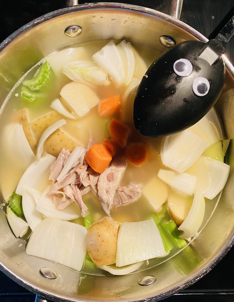 Turkey Soup by lesip