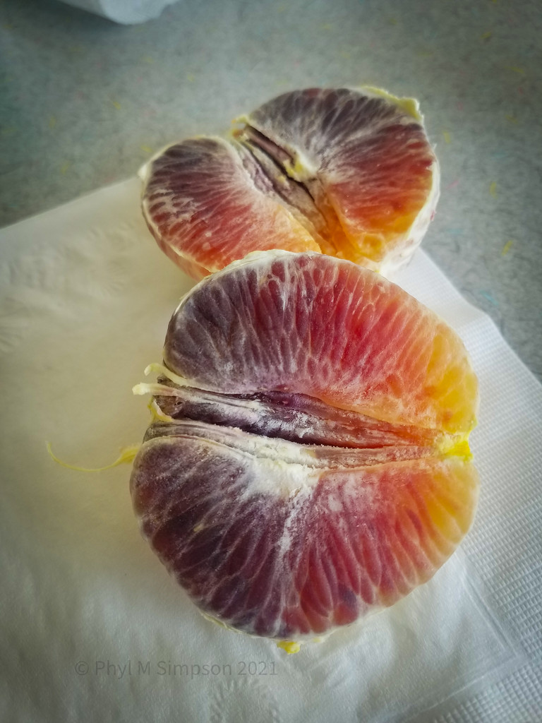 Organic Blood Orange by elatedpixie