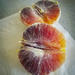Organic Blood Orange by elatedpixie