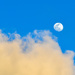 Moon at sunset by danette