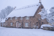 26th Jan 2021 - Snowy England 