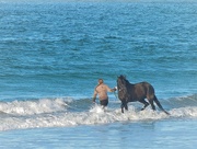 27th Jan 2021 - (1/2) I say : "It's horse bath time !"