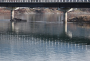 26th Jan 2021 - Bridge Reflections