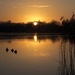 three ducks at sunrise by helenhall