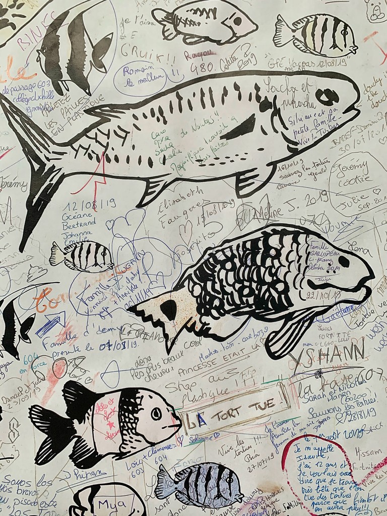 Fishes and hearts drawings.  by cocobella