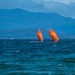 Sailing  by gosia