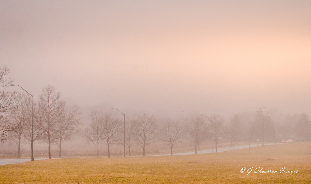 Morning Mist at Braun Farm by ggshearron