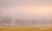 27th Jan 2021 - Morning Mist at Braun Farm