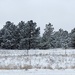 Line of Snowy Pines by harbie