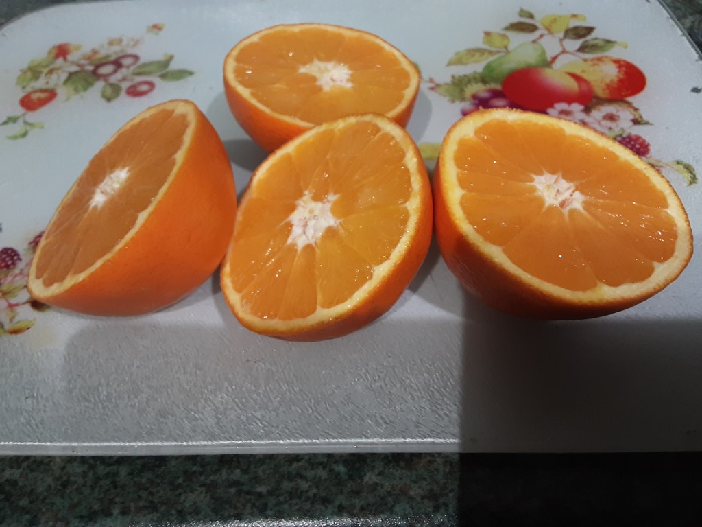 Fresh Oranges by grace55