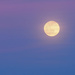 Late afternoon moon by monicac