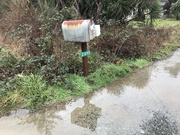 28th Jan 2021 - Wading to get the mail