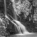High Shoals Falls by k9photo