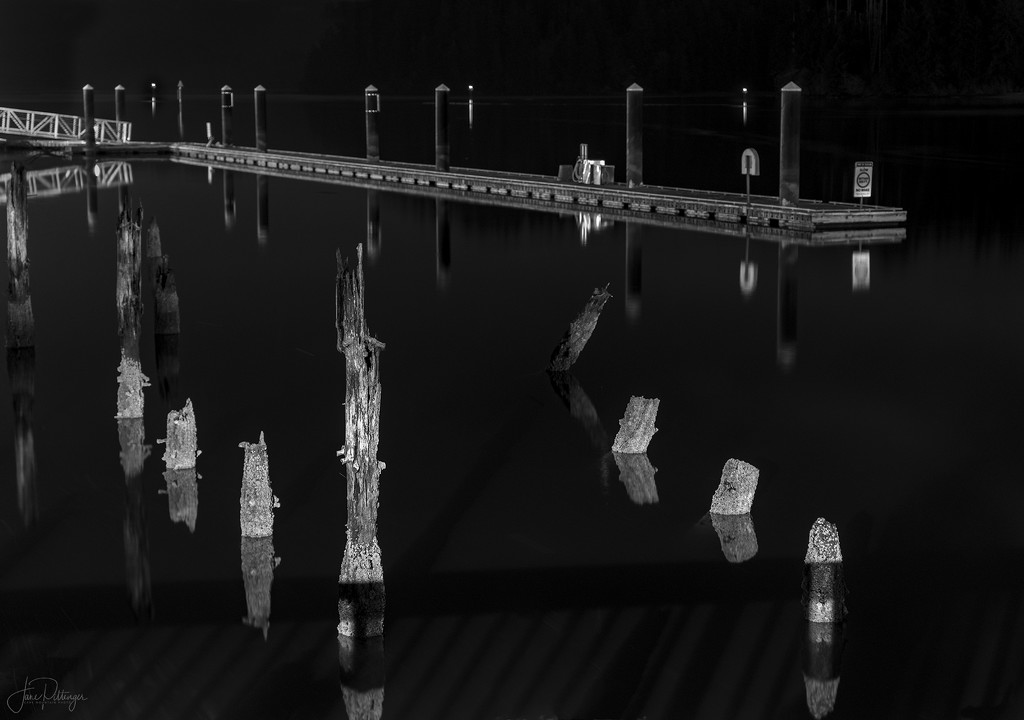 Pilings and Dock  by jgpittenger