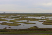 28th Jan 2021 - Wetlands 