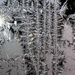 Frost on a Window Pane by tosee