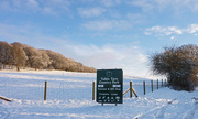 7th Jan 2021 - Snowy Cumbria