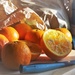 A Preserved Beam of Citrus Sunshine  by 30pics4jackiesdiamond