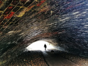 29th Jan 2021 - Esholt Tunnel