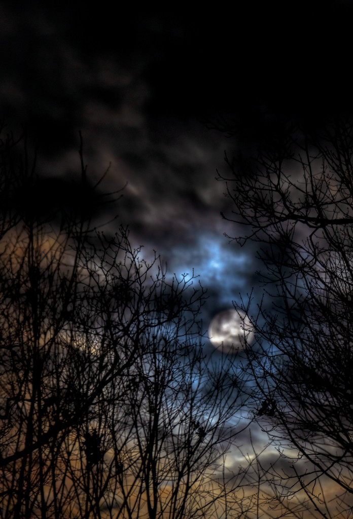 Wolf Moon by kvphoto