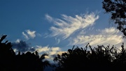 30th Jan 2021 -   Beautiful Feather Clouds ~      