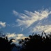   Beautiful Feather Clouds ~       by happysnaps