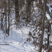 Winter wonderland 5 by larrysphotos