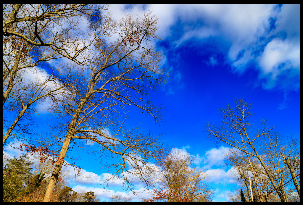 Blue Sky by hjbenson